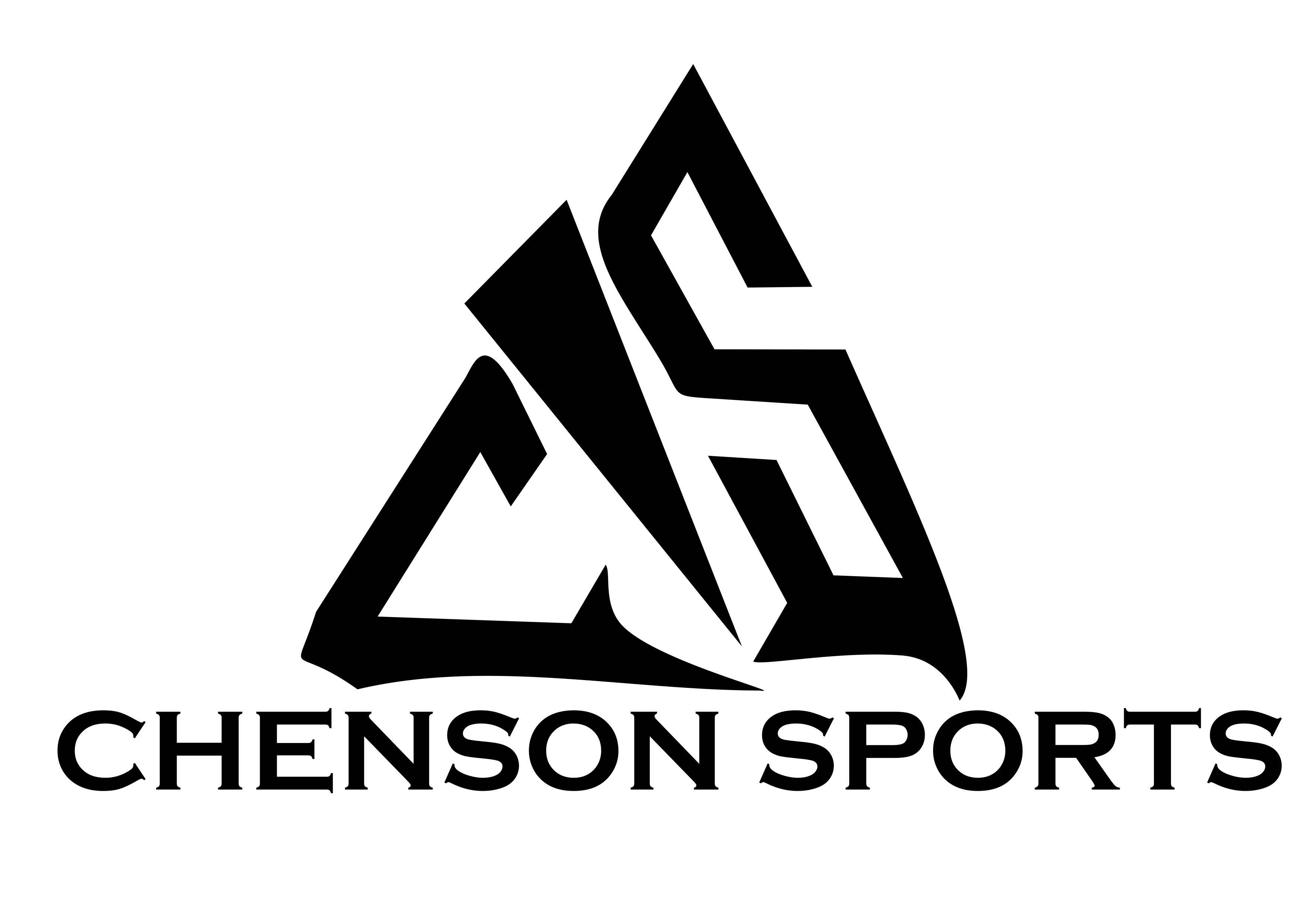 chensonsports.com